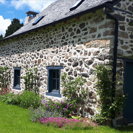 Aménagement d’un jardin avec pelouse et massif végétalisé