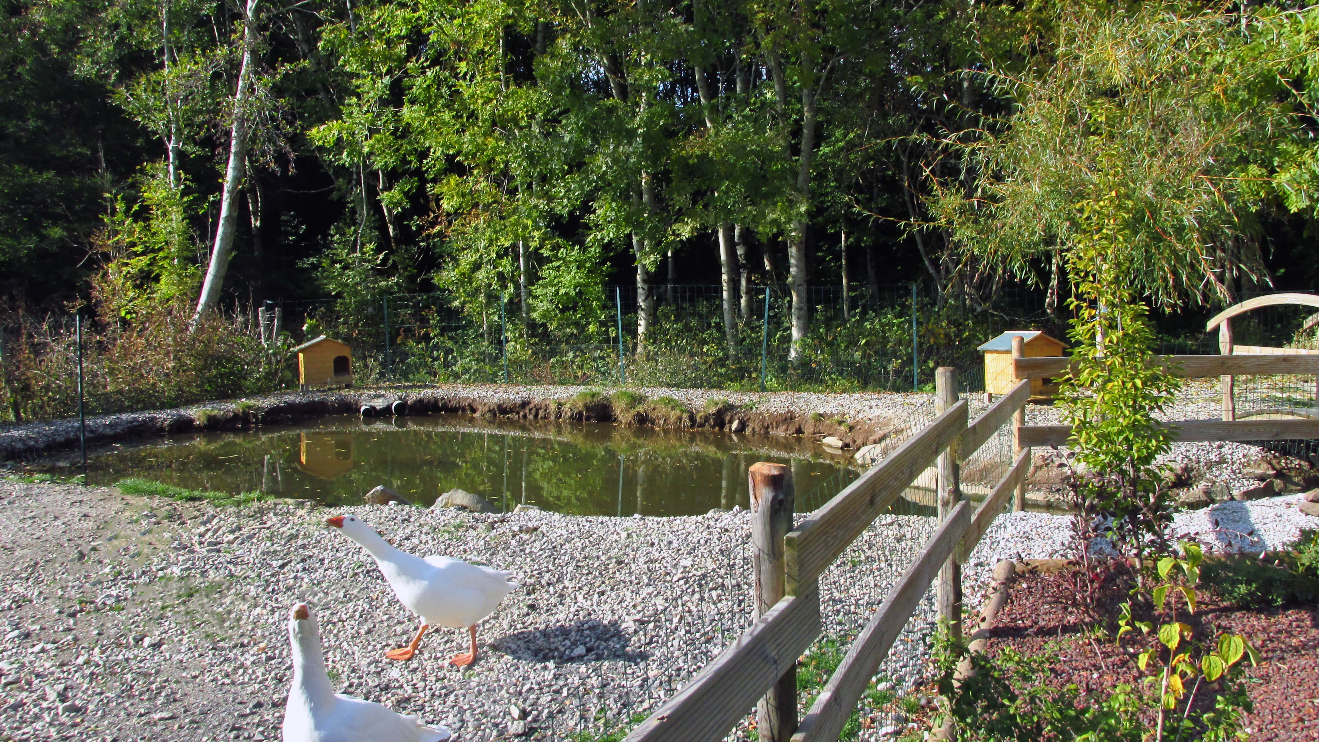 Création de jardin
