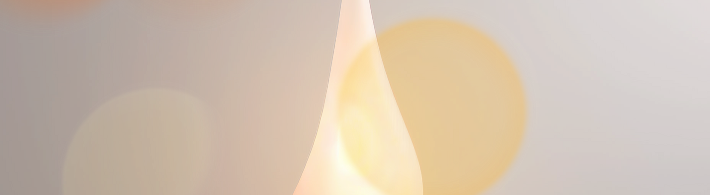 Ceiling Lamp _edited.png