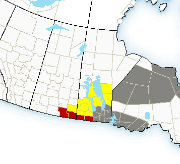 Winter Storm Watches Issued for SK/MB