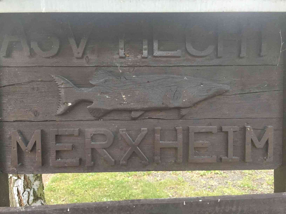 Helferfest 2017 059