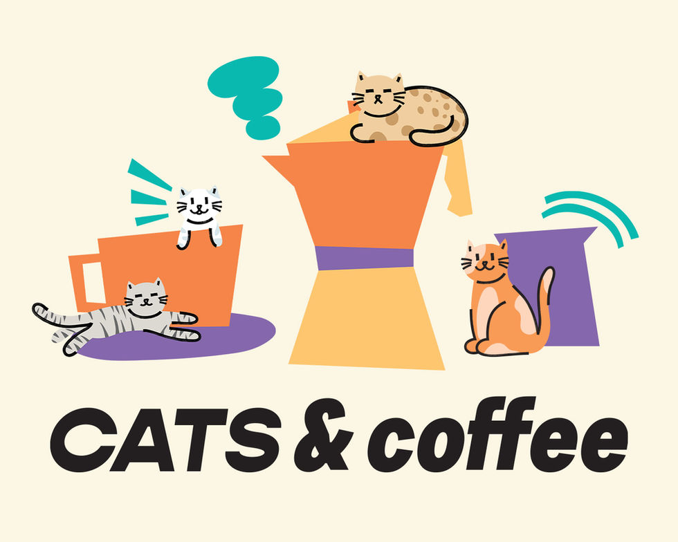 Cats.jpg