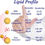 Thumbnail: Lipid Profile 