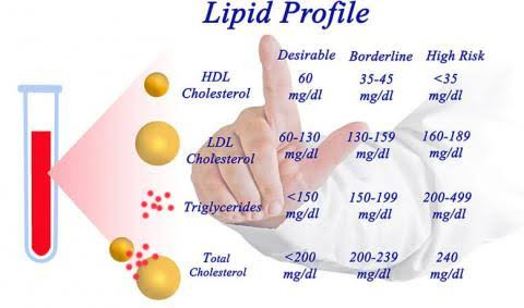 Lipid Profile