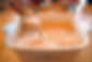 Four Cheese Salsa Dip