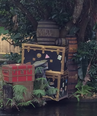 Where in the World Wednesday: Jungle Cruise