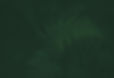 register_bg.jpg
