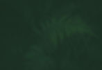 register_bg.jpg