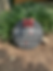 Thumbnail: Welcome we hope you like dogs