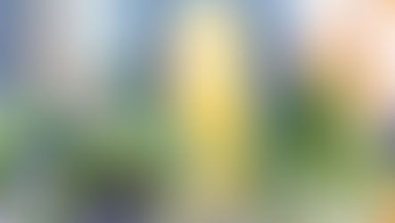 Then vs. Now: REALTORS® Share Their Take on Spring Buyers Pre-Pandemic vs. Today