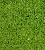 Pasto sintético green venta en d.f