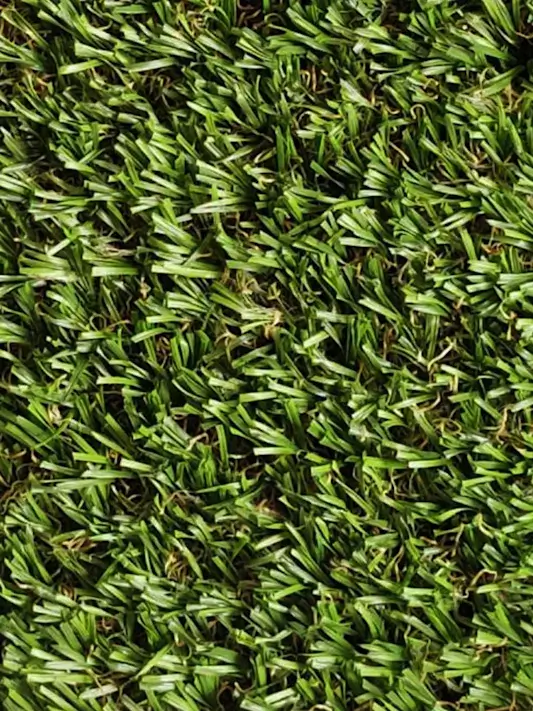 Pasto sintético olive garden