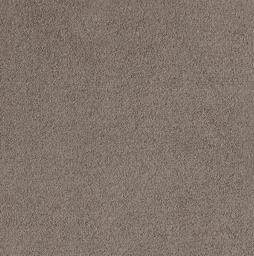 Miniatura: Alfombra Residencial Allegro Platinum