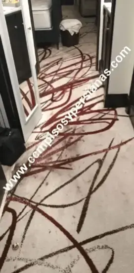 alfombra en hotel