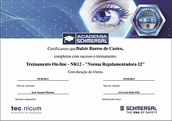 Captura de tela 2023-10-29 224448 NR 12.png