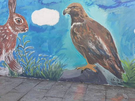 Dia Diferente na Escola Mário Beirão