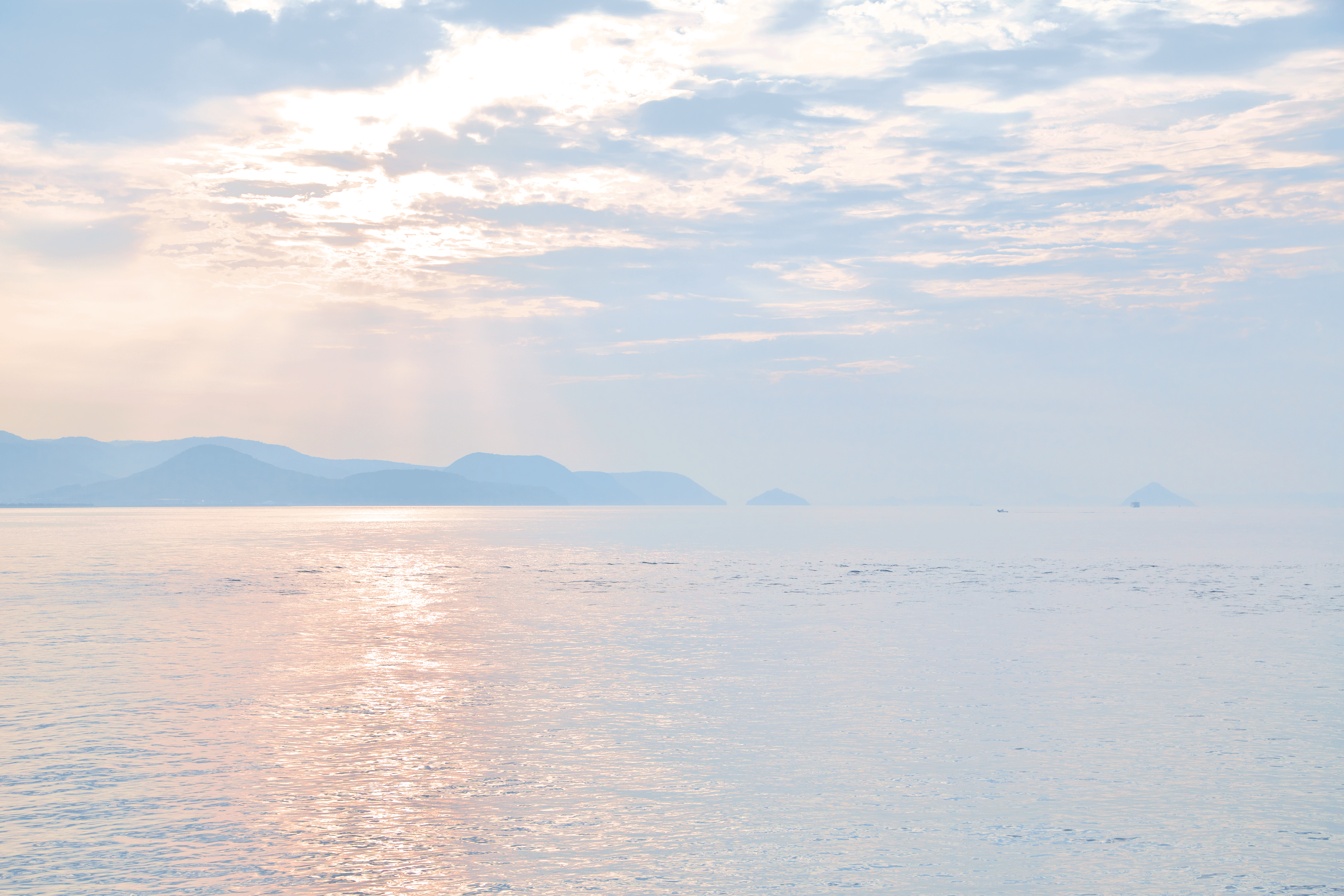 785C4008hosei_CMYK+.gif