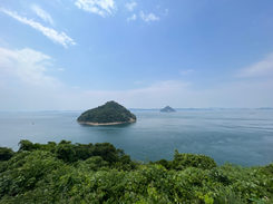 大崎の鼻付近より小槌島を望む