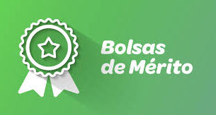 Bolsas de Mérito