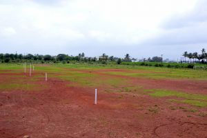 Large ground for football and athletic events