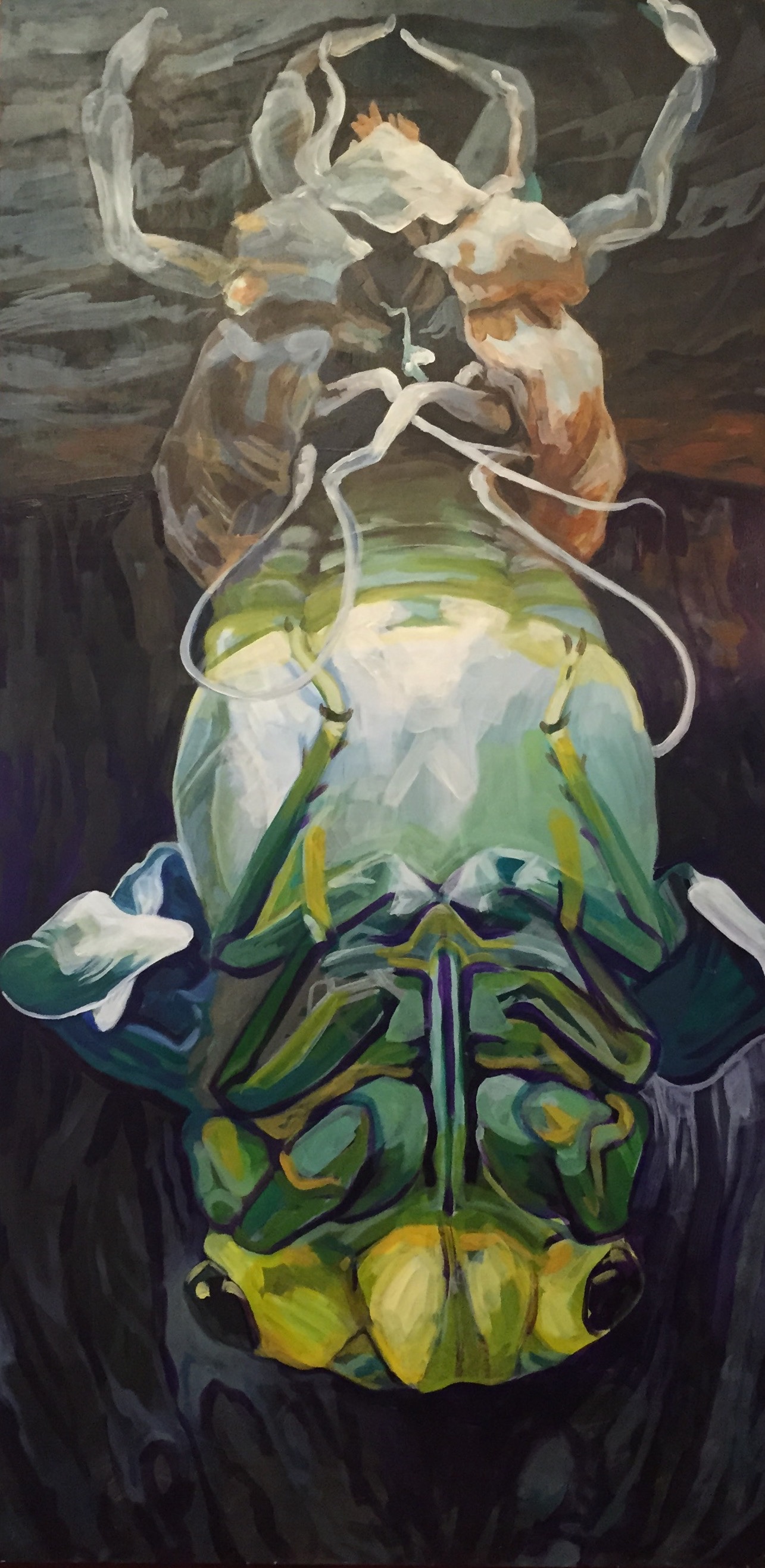 Cicada Reformation