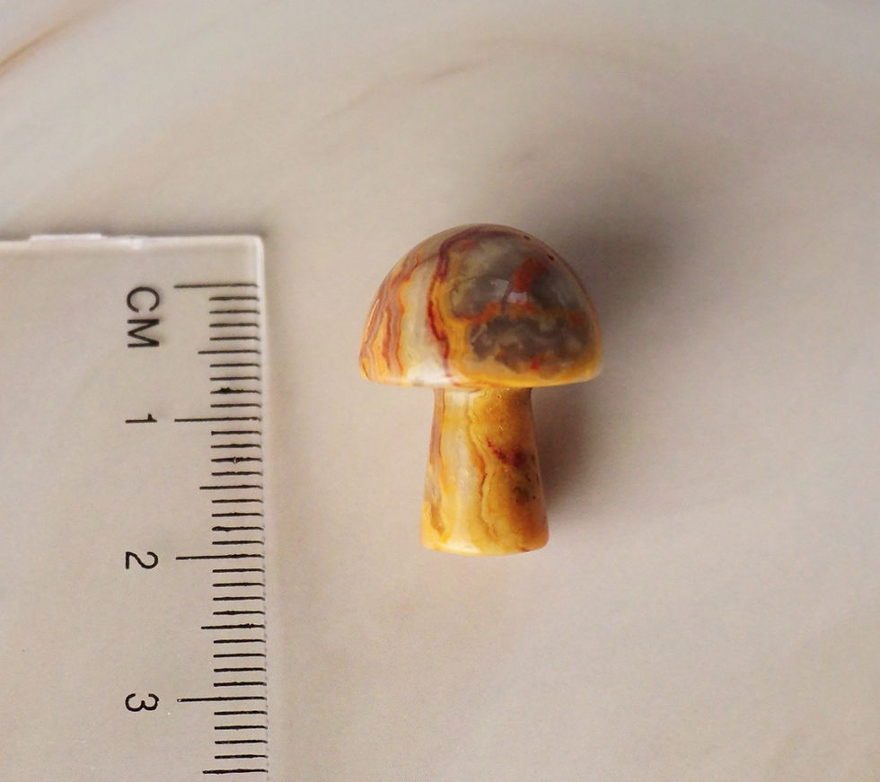 Thumbnail: Crystal Mushroom - Crazy Lace Agate