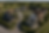 1acab0aa-6a6f-4fff-97e8-bdf83b78d6ac.png