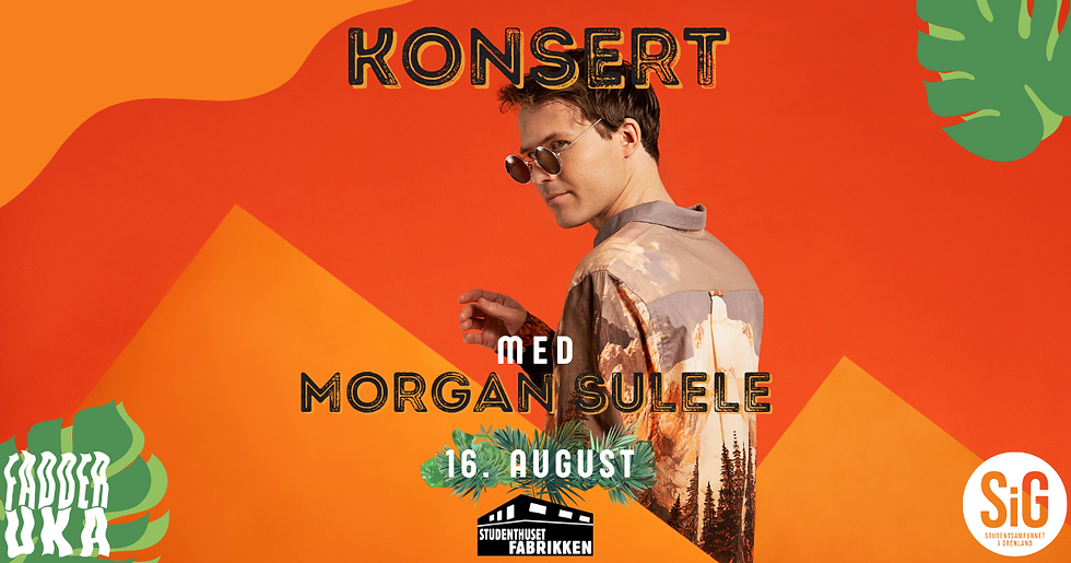 Konsert: Morgan Sulele