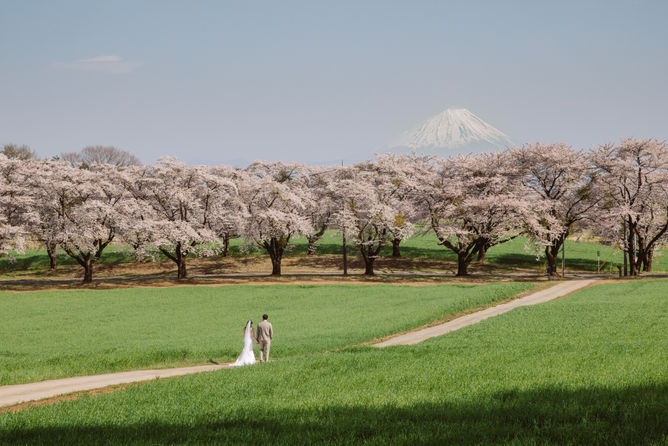 Mount Fuji Pre-wedding / Elopement