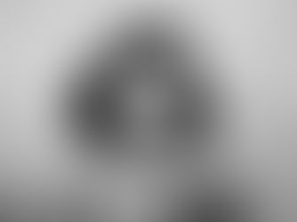 "Book Interpretation: The Main Themes in The Diary of Anne Frank" by Michael Cho