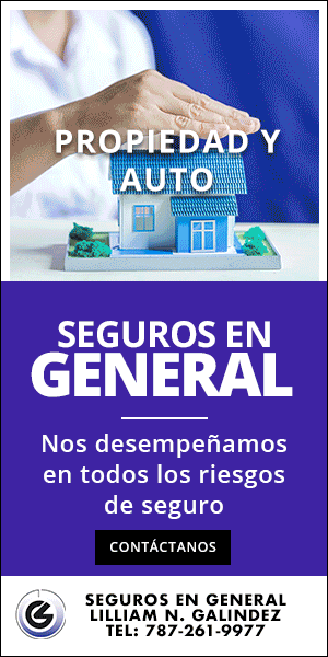 SEG300X600