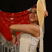 Carmen Flamenco.jpeg