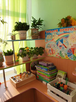 изображение_viber_2021-01-12_14-17-03