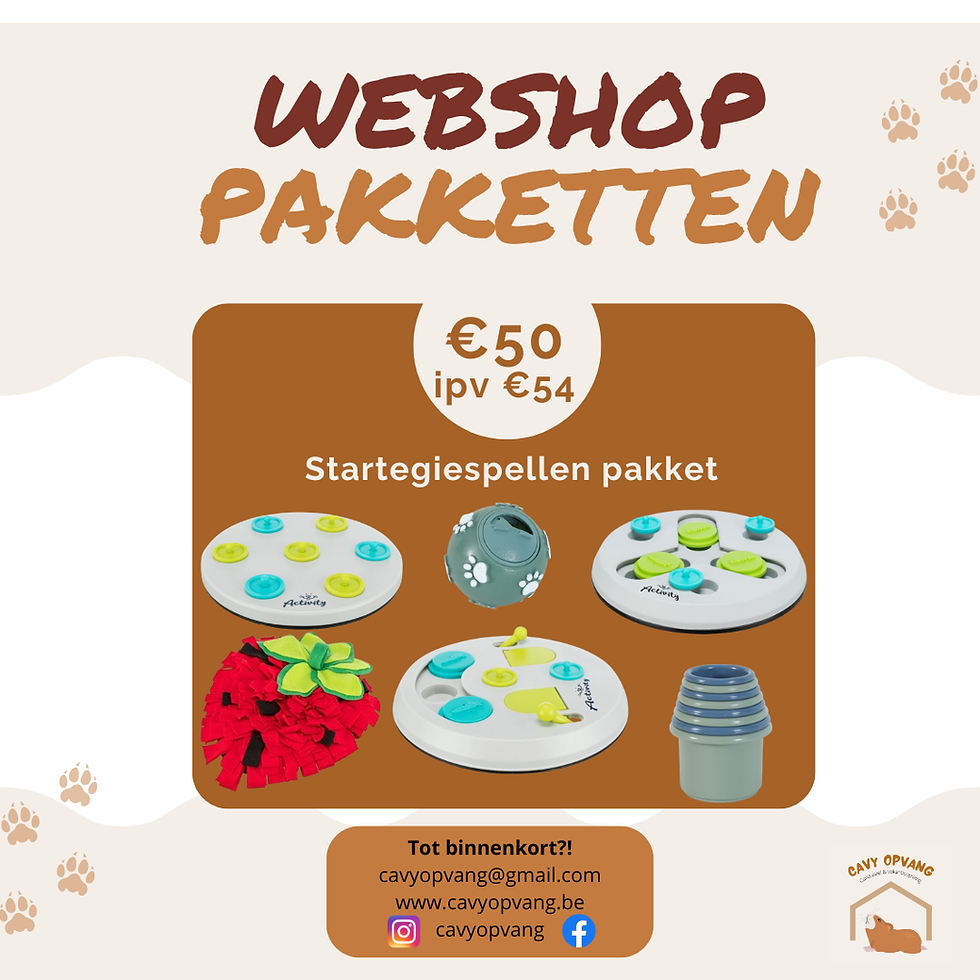 Thumbnail: Strategiespellen pakket
