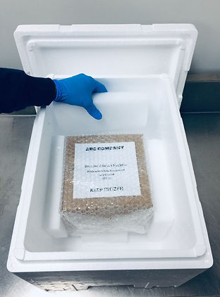 Dry Ice Slabs and Styrofoam container