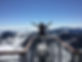 a woman on top of a mountain