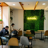 Euphoria Coffee & Brunch