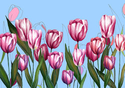 tulipani celeste + disegno+ colore