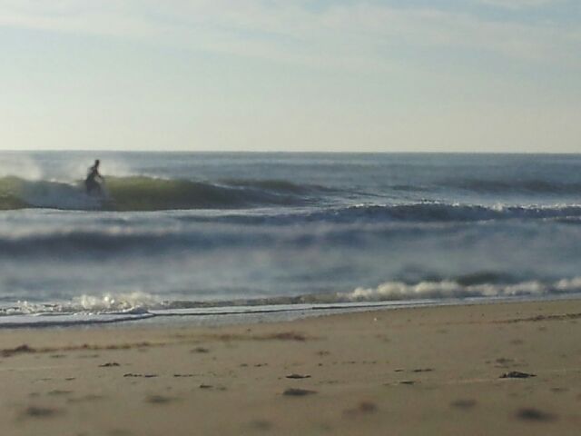 ROAM FREE