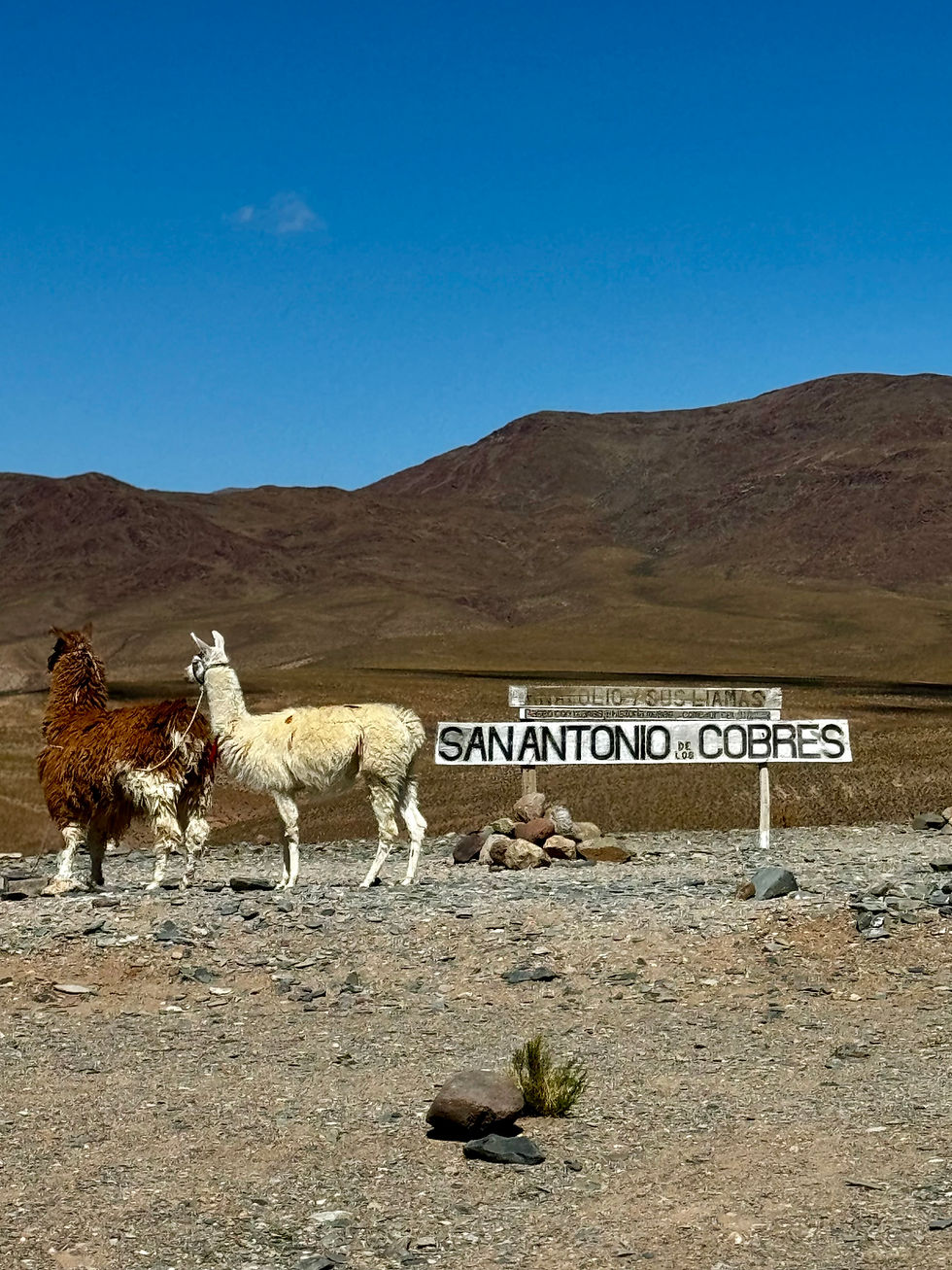 Miniatura: Salta - Argentina fora do óbvio - 11 de Julho
