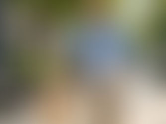 Acessórios para Passeio