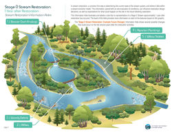 Restoration Possibilities - 1 year after restoration (front sheet)