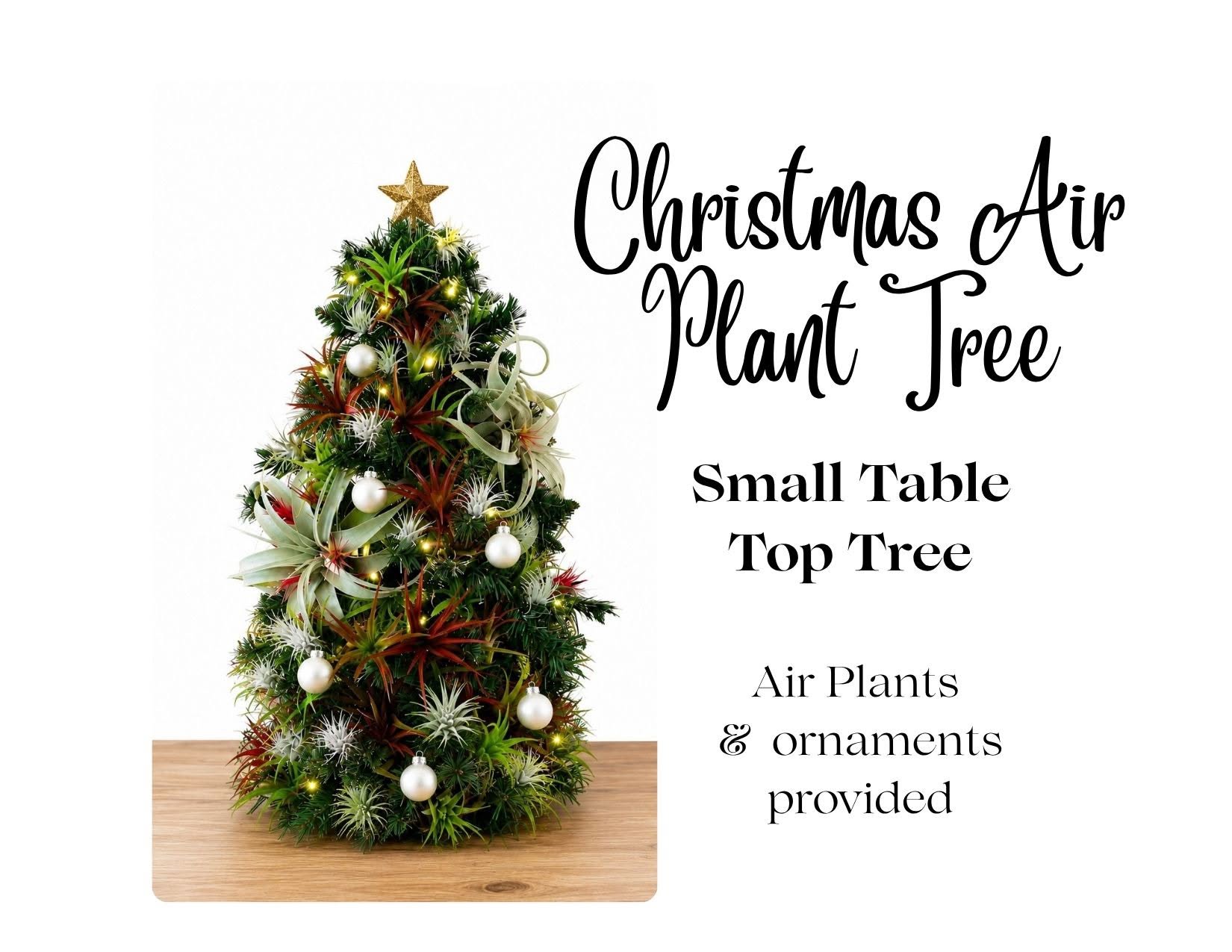 Air Plant Christmas Tree Workshop
