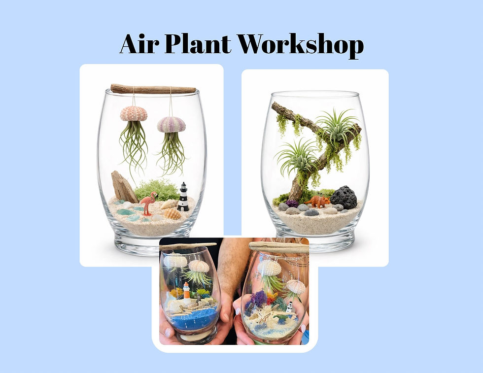Jellyfish or Jurassic Air Plant Workshop