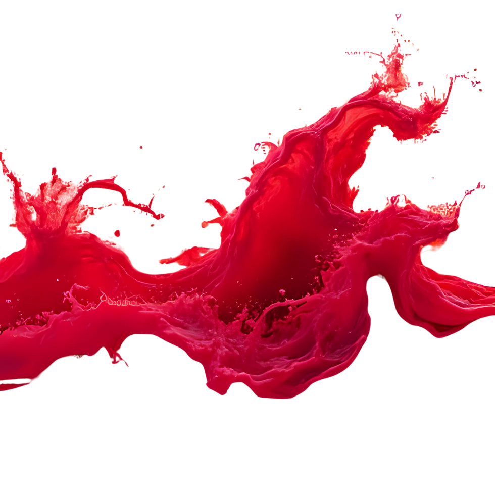 Manta X Website Builders