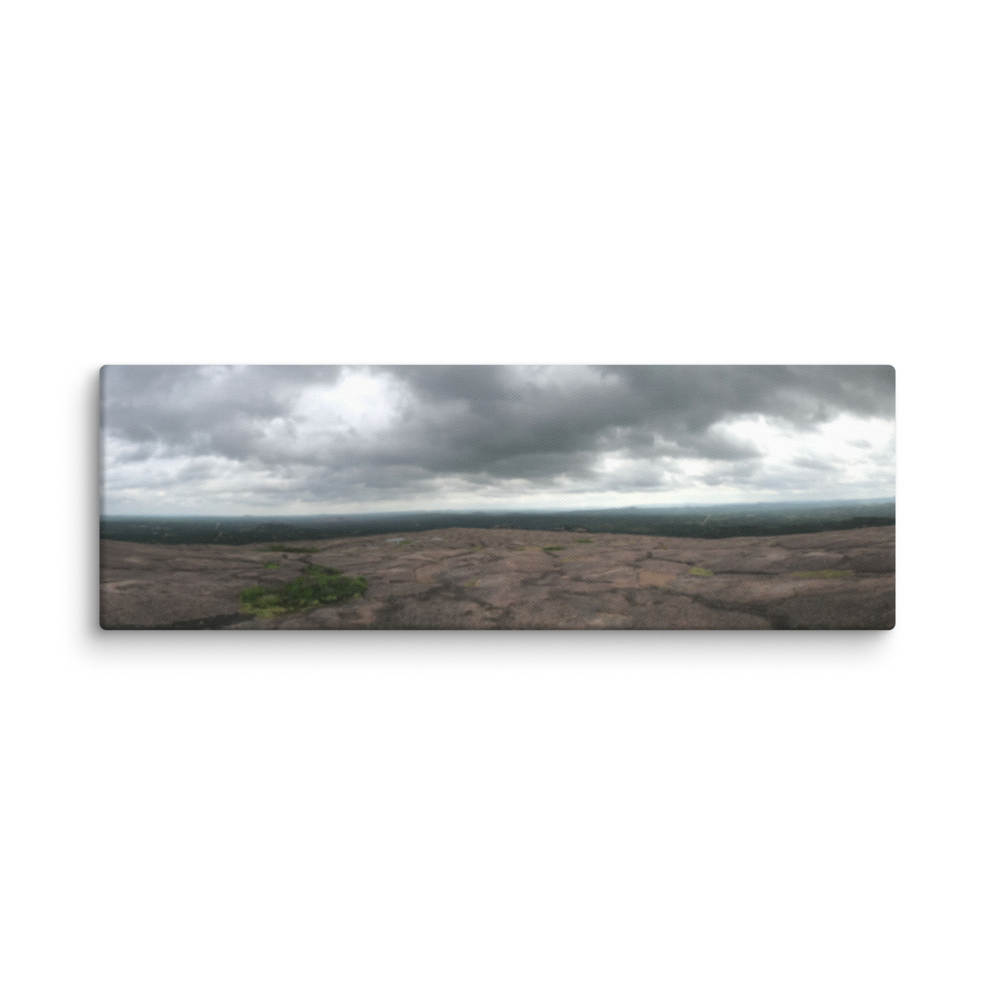 The Long Horizon - Canvas
