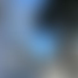 Dining Experience at Chez Nous. Charleston, SC.