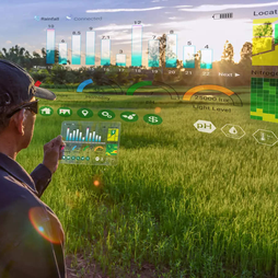 A Guide to Metaverse Land