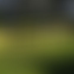 Risk Management in Crypto