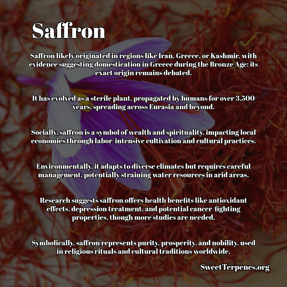 Saffron highlights